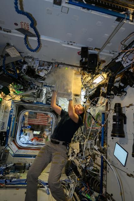 NASA image: NASA astronaut Nick Hague processes samples for a biotechnology experiment