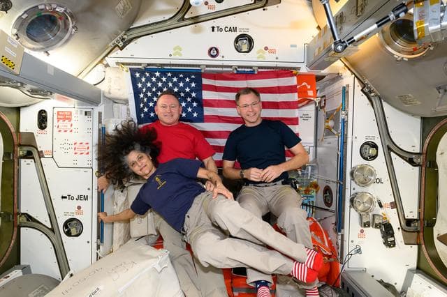 NASA image: Three NASA astronauts pose for a portrait on Veterans Day