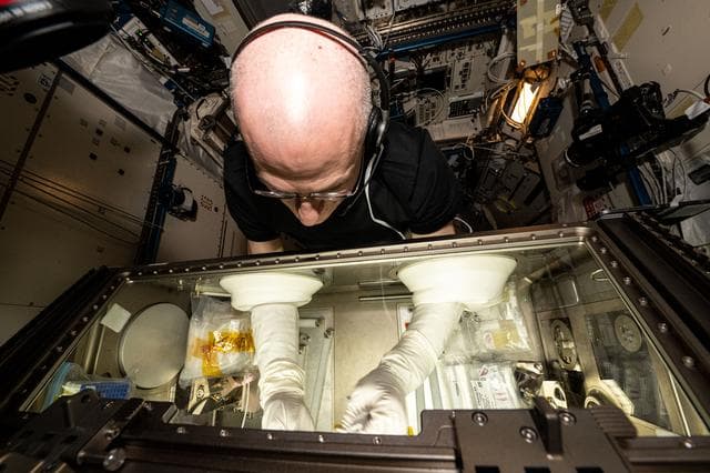 NASA image: iss072e310952