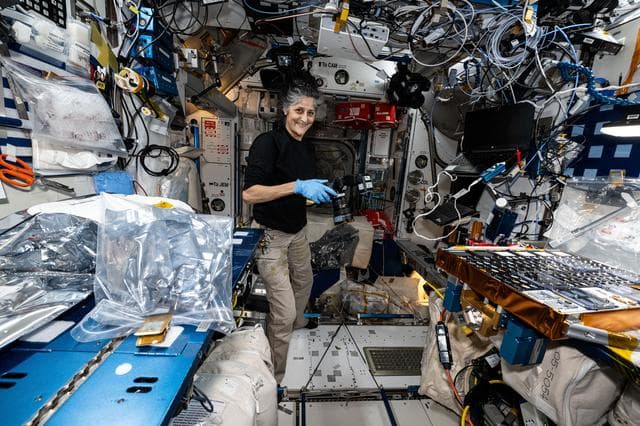 NASA image: Astronaut Suni Williams photographs the European Materials Ageing experiment hardware