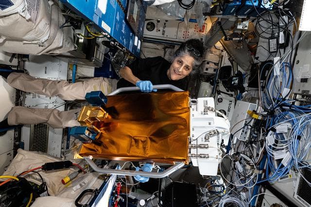 NASA image: Astronaut Suni Williams assembles the European Materials Ageing experiment