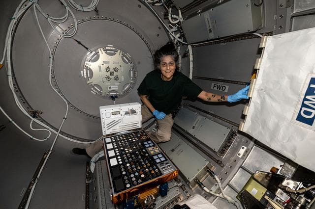 NASA image: Astronaut Suni Williams installs the European Materials Ageing experiment