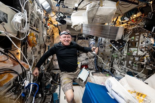 NASA image: Astronaut Butch Wilmore installs the European Enhanced Exploration Exercise Device