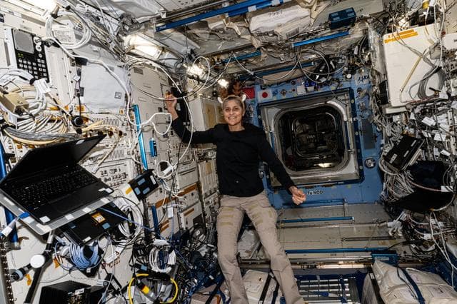 NASA image: Astronaut Suni Williams checks research components inside the Kibo laboratory module