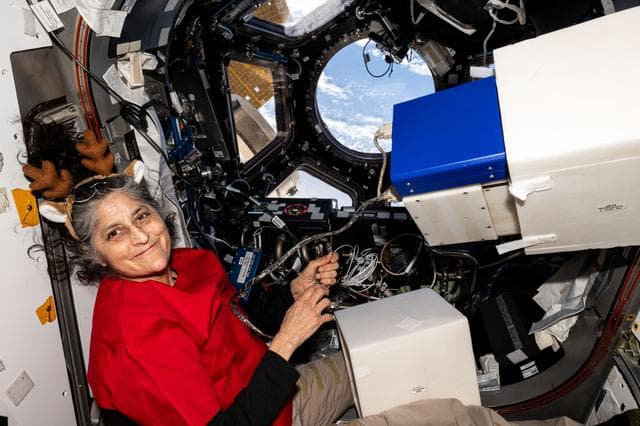 NASA image: Astronaut Suni Williams assembles research hardware