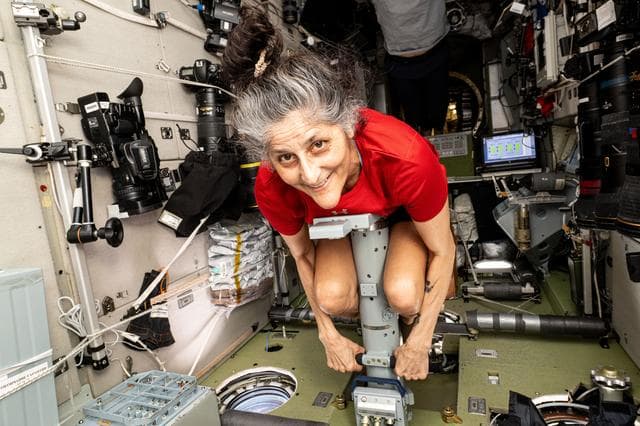 NASA image: Astronaut Suni Williams measures her mass using a specialized device
