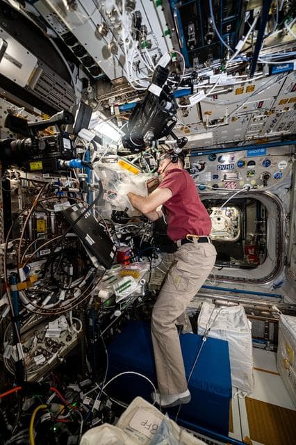 NASA image: Astronaut Nick Hague replaces components inside the BioFabrication Facility
