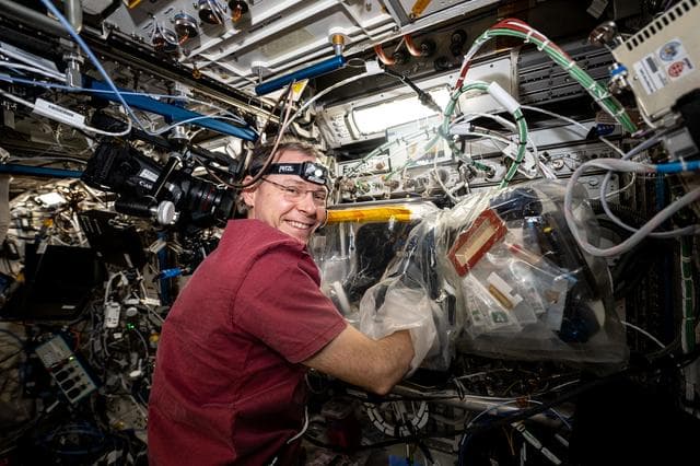 NASA image: Astronaut Nick Hague replaces components inside the BioFabrication Facility
