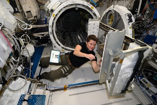 NASA image: Astronaut Anne McClain  hardware maintenance tasks inside the Kibo laboratory module