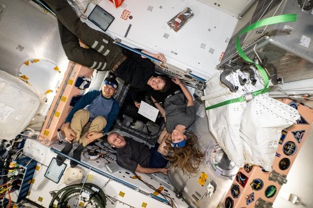 NASA image: Four Expedition 72 Flight Engineers pose together for a portrait