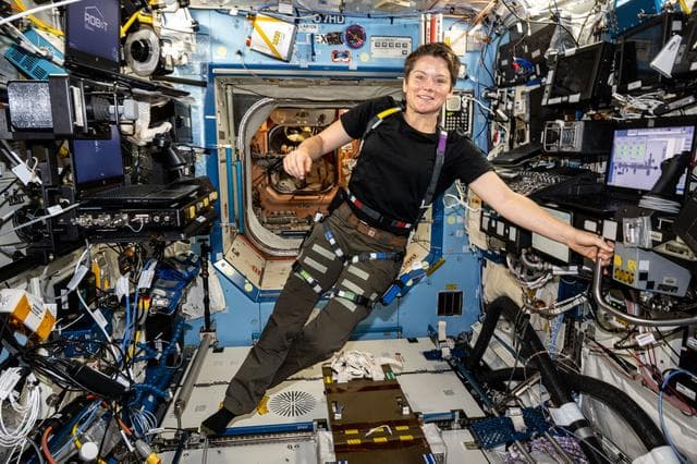 NASA image: Astronaut Anne McClain wears an experimental wearable dosimeter