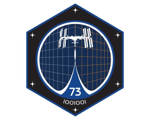 NASA image: Expedition 73 Insignia