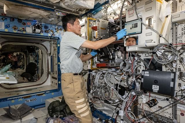 NASA image: Astronaut Takuya Onishi processes research samples for the Cell Gravisensing investigation