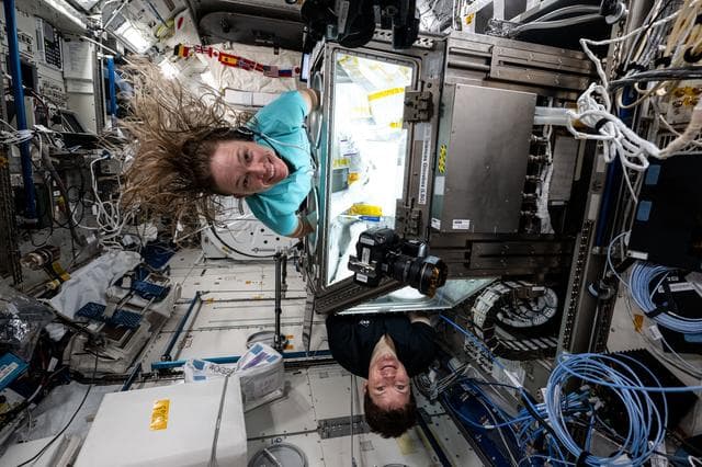 NASA image: iss073e0001816