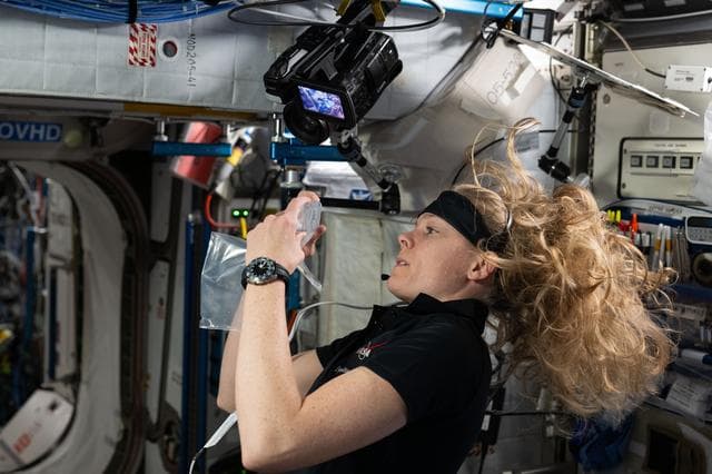NASA image: iss073e0025371