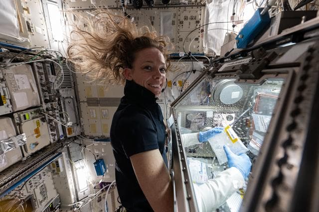 NASA image: NASA astronaut Nichole Ayers processes bacteria samples for viewing inside a 3D imaging microscope
