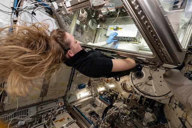 NASA image: iss073e0025988