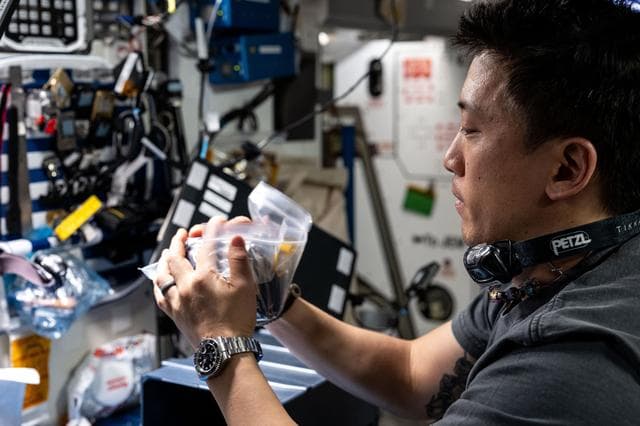 NASA image: NASA astronaut Jonny Kim services hardware that promotes physical science and crystalization research