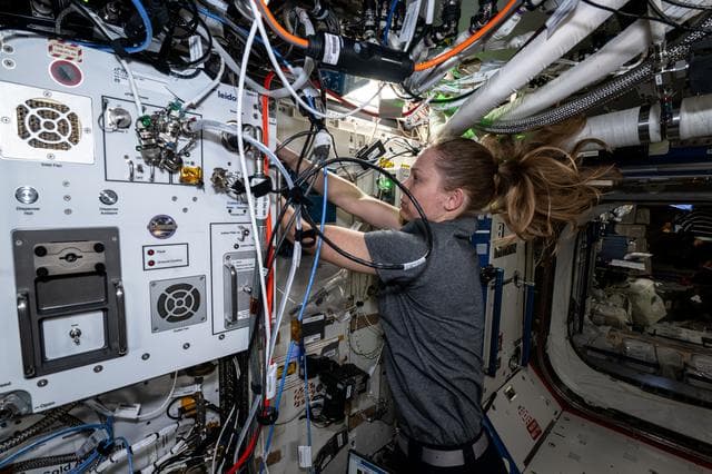 NASA image: NASA astronaut Nichole Ayers verifies the functionality and replaces hardware on the Exploration Potable Water Dispenser