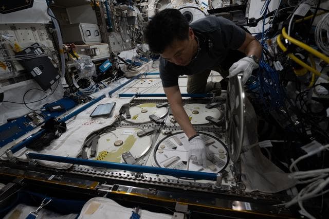 NASA image: NASA astronaut Jonny Kim removes a cryogenic storage unit containing frozen protein crystal samples