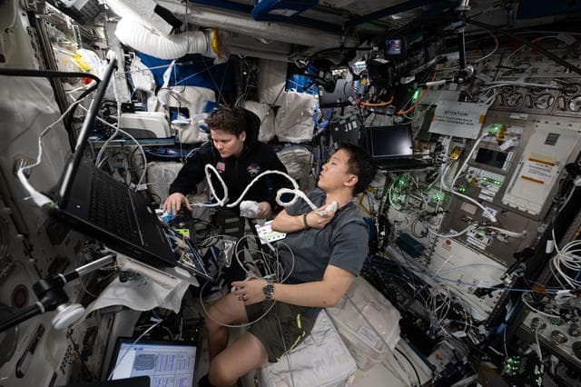NASA image: iss073e0076065
