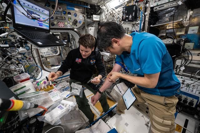 NASA image: Astronauts Anne McClain and Takuya Onishi work together and draw blood samples