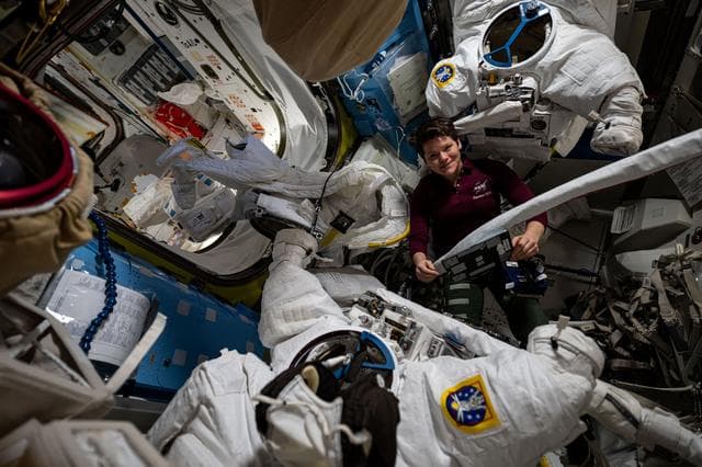 NASA image: NASA astronaut Anne McClain checks out a pair of spacesuits