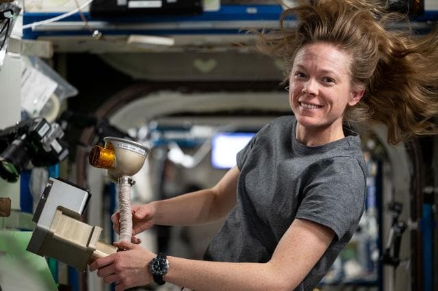 NASA image: NASA astronaut Nichole Ayers cleans and services life support components