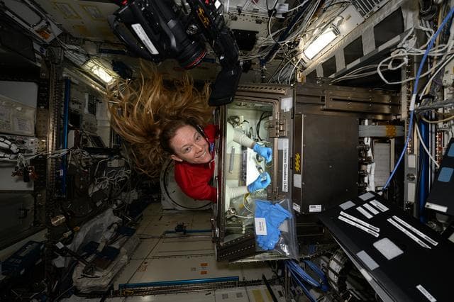 NASA image: NASA astronaut Nichole Ayers conducts research operations inside the Life Science Glovebox