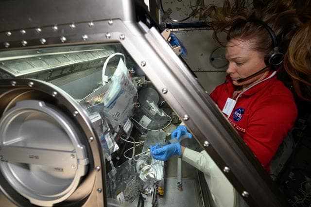 NASA image: NASA astronaut Nichole Ayers conducts research operations inside the Life Science Glovebox