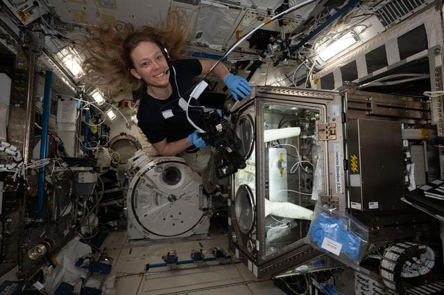 NASA image: NASA astronaut Nichole Ayers tests imaging operations of a 3D research microscope