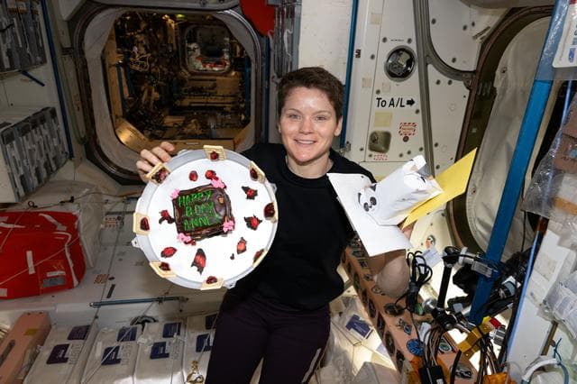 NASA image: NASA astronaut Anne McClain celebrates her 46th birthday with a cake