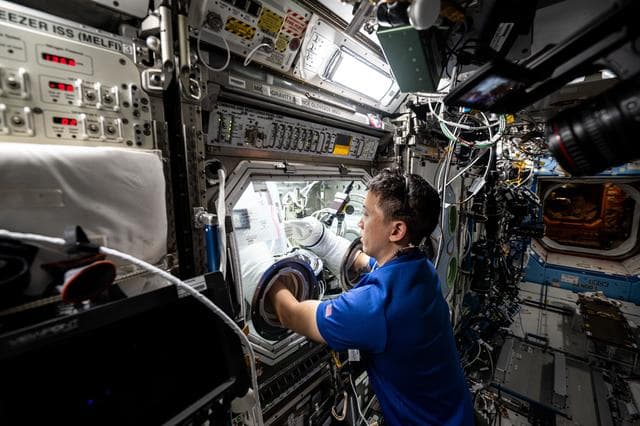 NASA image: NASA astronaut Jonny Kim conducts research operations inside the Microgravity Science Glovebox