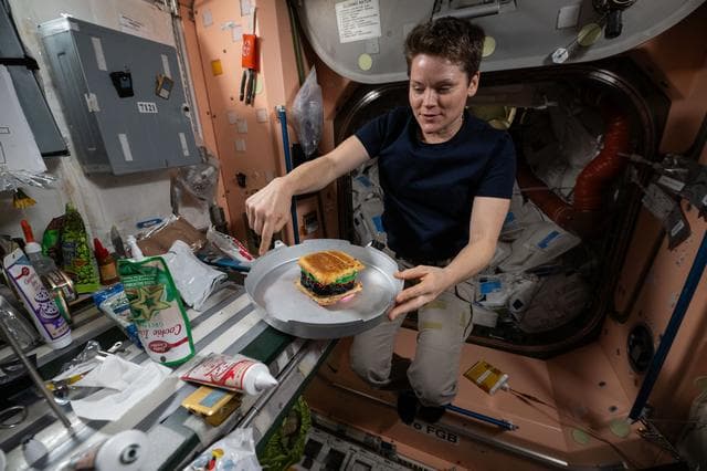 NASA image: NASA astronaut Anne McClain shows off a hamburger-shaped cake