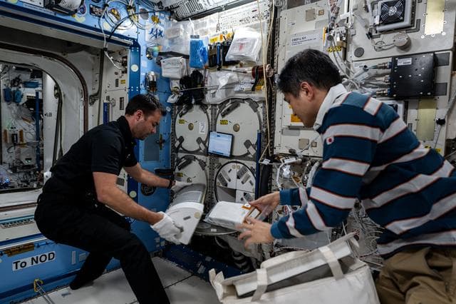 NASA image: Astronauts Tibor Kapu from Hungary and Takuya Onishi from Japan