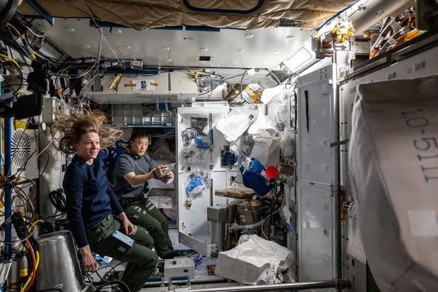 NASA image: NASA astronauts Nichole Ayers and Jonny Kim replace electrical hardware