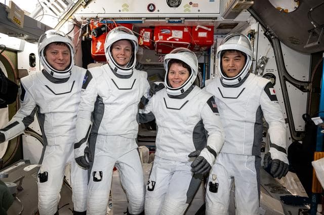 NASA image: NASA's SpaceX Crew-10 member pose in their Dragon pressure suits