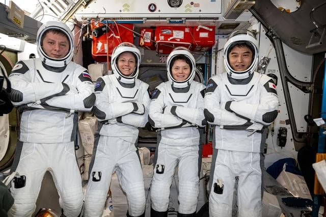 NASA image: NASA's SpaceX Crew-10 member pose in their Dragon pressure suits