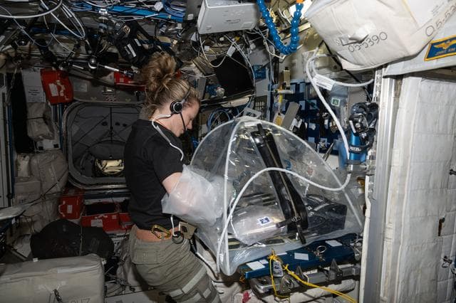NASA image: NASA astronaut Zena Cardman installs liver tissue samples into an artificial gravity generator