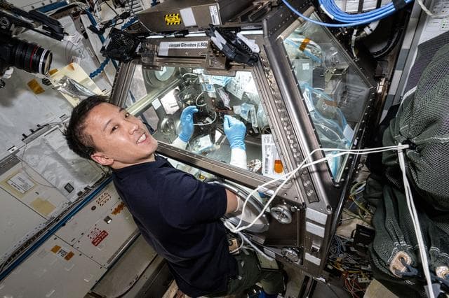 NASA image: NASA astronaut Jonny Kim processes bone cell samples inside the Life Science Glovebox