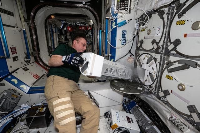 NASA image: NASA astronaut Mike Fincke inserts a cryogenic storage unit into a science freezer