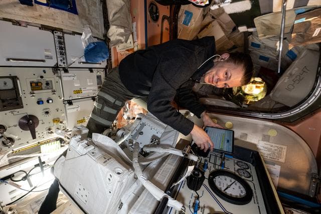 NASA image: NASA astronaut Zena Cardman works inside the Quest airlock