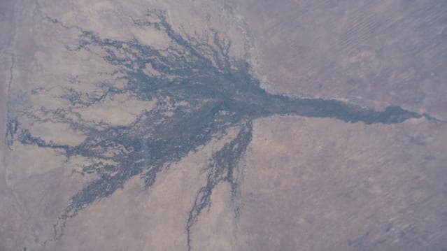 NASA image: The Okavango Delta is formed by the Okavango River flowing in from Angola