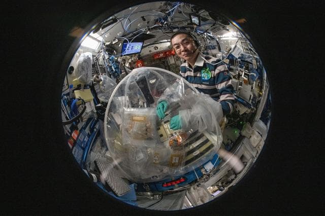 NASA image: iss073e0606894
