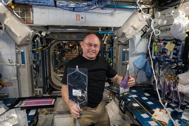 NASA image: NASA astronaut Mike Fincke shows off research samples for the BioNutrients-3 investigation
