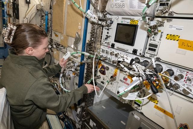 NASA image: NASA astronaut Zena Cardman installs the Advanced Space Experiment Processor-2 