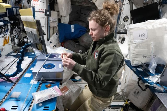 NASA image: NASA astronaut Zena Cardman conducting research operations for a biotechnology experiment