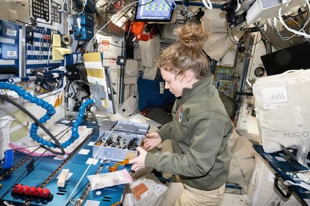 NASA image: NASA astronaut Zena Cardman conducting research operations for a biotechnology experiment