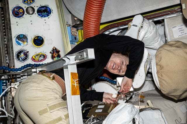 NASA image: NASA astronaut Zena Cardman performs communications maintenance on a pair of spacesuits