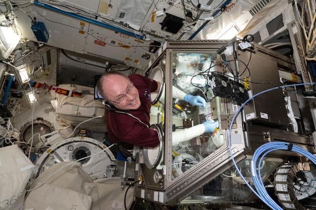 NASA image: NASA astronaut Mike Fincke conducts research operations inside the Life Science Glovebox